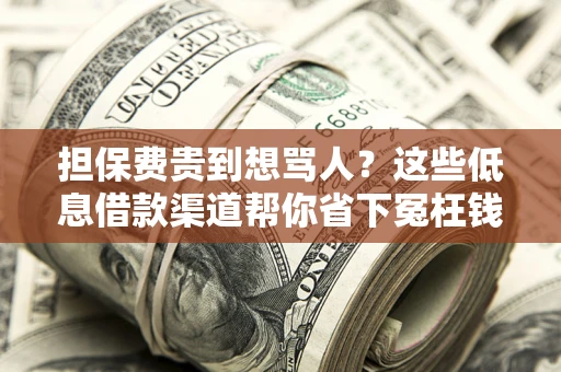 济南担保费贵到想骂人？这些低息借款渠道帮你省下冤枉钱