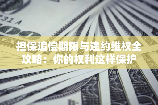 济南担保追偿期限与违约维权全攻略：你的权利这样保护